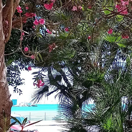 Il Cristallo Del Mare *
